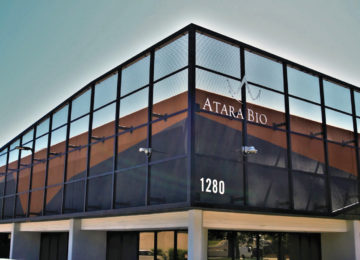 Atara Plans to Cut Staff, Shift Focus