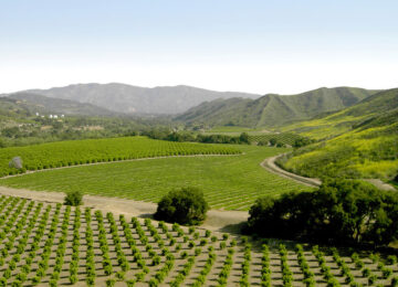 Ventura Farmers Prep for El Niño